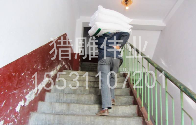 室外小吊機(jī)